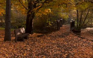 Preview wallpaper park, trees, leaves, autumn, landscape