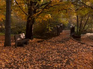 Preview wallpaper park, trees, leaves, autumn, landscape