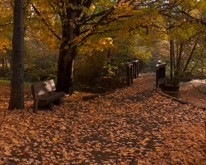 Preview wallpaper park, trees, leaves, autumn, landscape