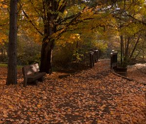 Preview wallpaper park, trees, leaves, autumn, landscape