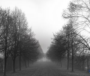 Preview wallpaper park, trees, path, black and white, landscape