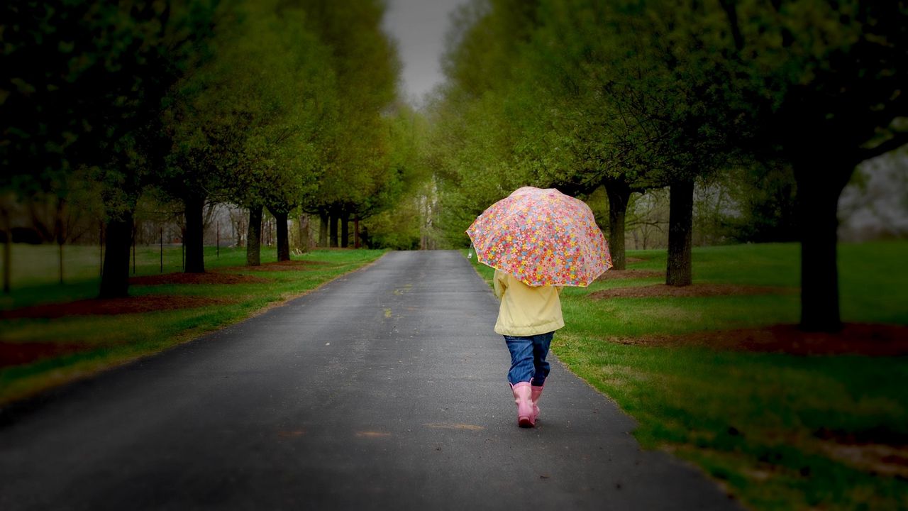 Wallpaper park, umbrella, tree, road, walking, cloudy