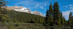 Preview wallpaper parks canada, mountain, forest, landscape, bushes, nature