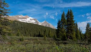 Preview wallpaper parks canada, mountain, forest, landscape, bushes, nature