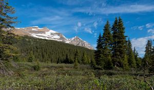 Preview wallpaper parks canada, mountain, forest, landscape, bushes, nature