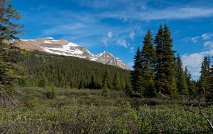 Preview wallpaper parks canada, mountain, forest, landscape, bushes, nature