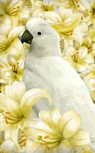 Preview wallpaper parrot, bird, lilies, art