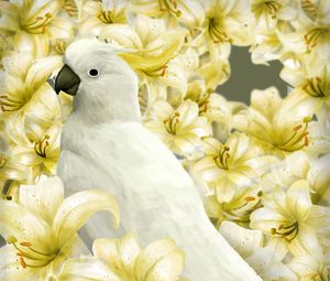 Preview wallpaper parrot, bird, lilies, art