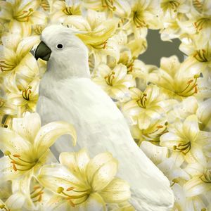 Preview wallpaper parrot, bird, lilies, art