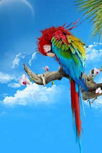 Preview wallpaper parrot, colorful, feathers, thread, sit