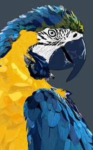 Preview wallpaper parrot, macaw, art, bird
