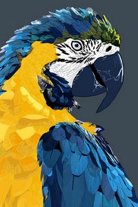 Preview wallpaper parrot, macaw, art, bird