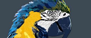 Preview wallpaper parrot, macaw, art, bird