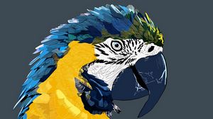 Preview wallpaper parrot, macaw, art, bird