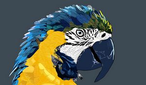 Preview wallpaper parrot, macaw, art, bird