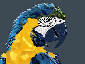 Preview wallpaper parrot, macaw, art, bird