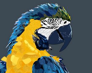 Preview wallpaper parrot, macaw, art, bird