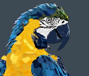 Preview wallpaper parrot, macaw, art, bird