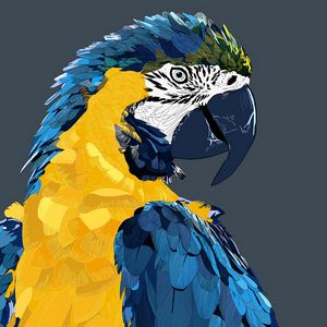 Preview wallpaper parrot, macaw, art, bird