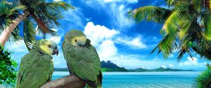 Preview wallpaper parrots, beach, sea, sky, summer, pair