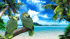 Preview wallpaper parrots, beach, sea, sky, summer, pair