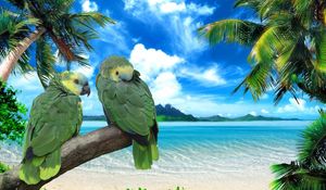 Preview wallpaper parrots, beach, sea, sky, summer, pair