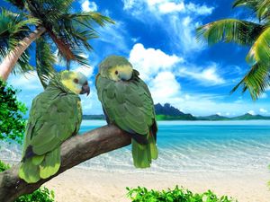 Preview wallpaper parrots, beach, sea, sky, summer, pair