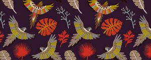 Preview wallpaper parrots, birds, feathers, colorful, vector, pattern