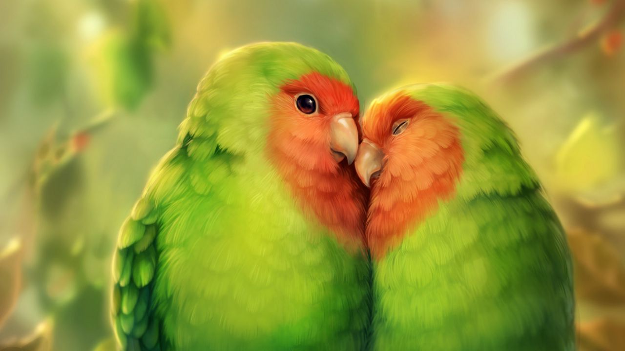 Wallpaper parrots, birds, romance, cute, art