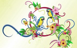 Preview wallpaper parrots, colorful, colors, patterns