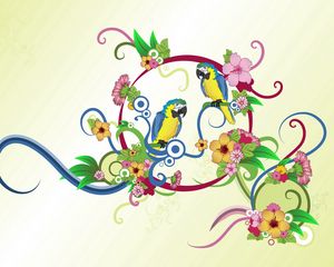 Preview wallpaper parrots, colorful, colors, patterns