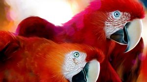 Preview wallpaper parrots, pair, beak, color