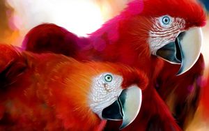 Preview wallpaper parrots, pair, beak, color
