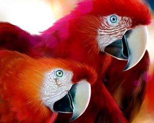 Preview wallpaper parrots, pair, beak, color