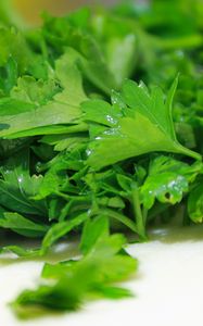 Preview wallpaper parsley, herbs, vitamins