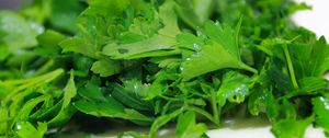 Preview wallpaper parsley, herbs, vitamins