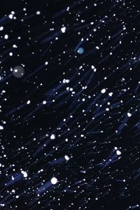 Preview wallpaper particles, snow, motion, distortion