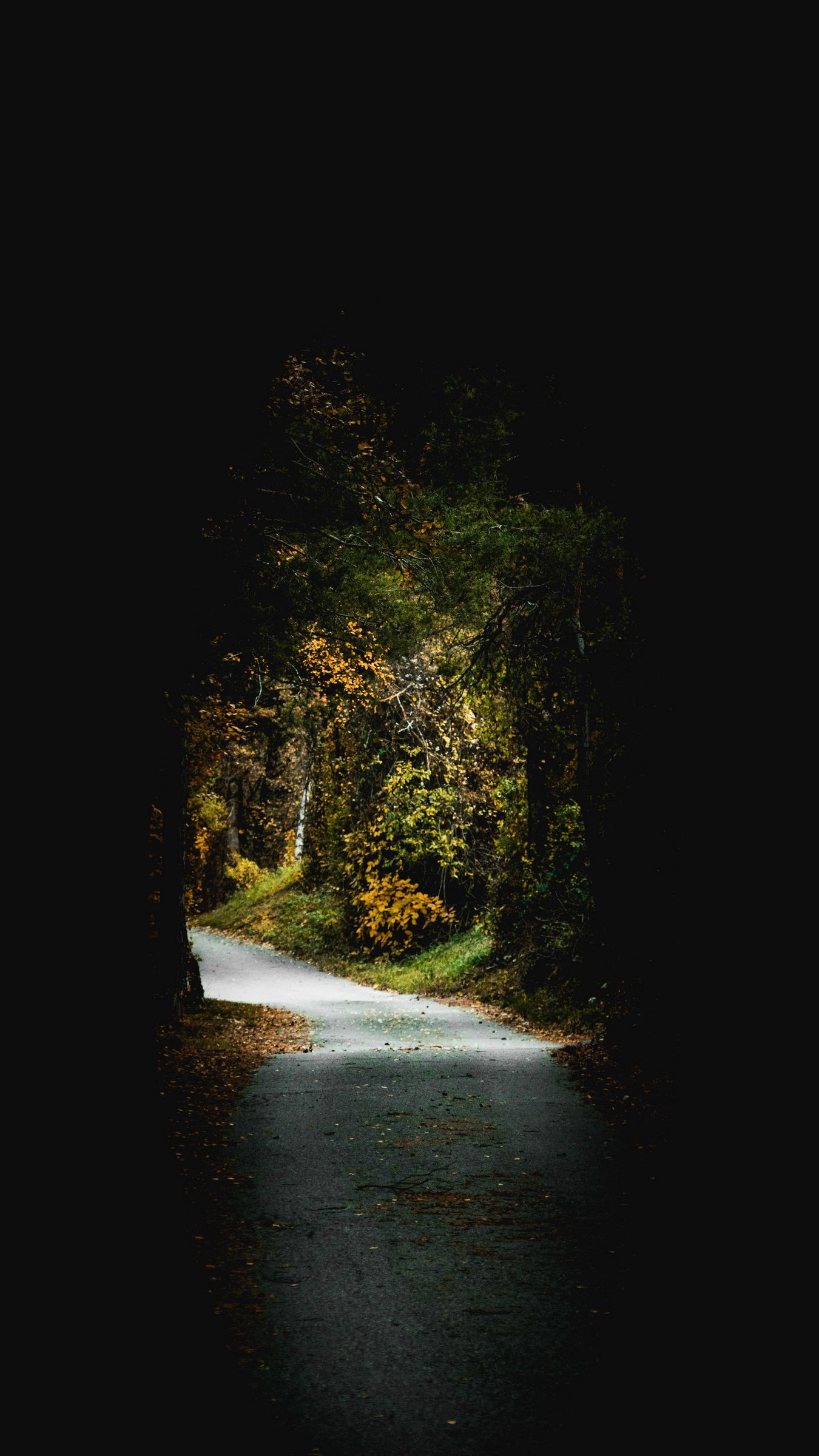 1350x2400 Wallpaper passage, arch, trees, dark, foliage