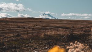 Preview wallpaper pasture, mountain, peak, flowers, landscape