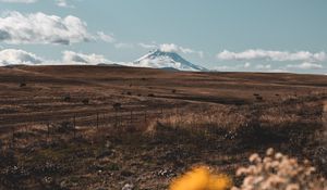 Preview wallpaper pasture, mountain, peak, flowers, landscape