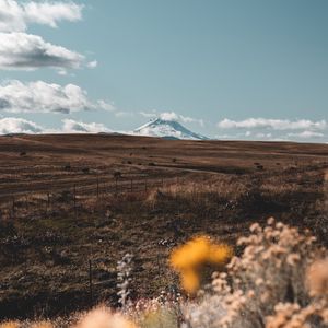 Preview wallpaper pasture, mountain, peak, flowers, landscape