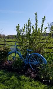 Preview wallpaper pasture, nature, meadow, grass, bike