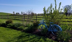 Preview wallpaper pasture, nature, meadow, grass, bike