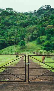Preview wallpaper pasture, stable, gates, trees, grass