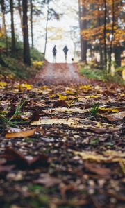 Preview wallpaper path, autumn, nature, silhouettes, walk