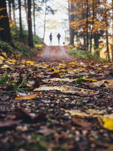 Preview wallpaper path, autumn, nature, silhouettes, walk