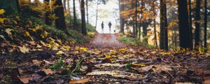 Preview wallpaper path, autumn, nature, silhouettes, walk