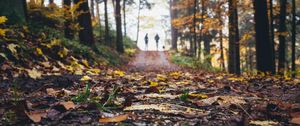 Preview wallpaper path, autumn, nature, silhouettes, walk