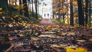Preview wallpaper path, autumn, nature, silhouettes, walk