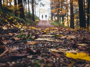 Preview wallpaper path, autumn, nature, silhouettes, walk